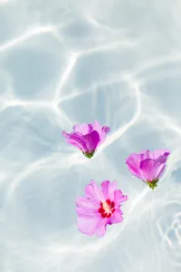 Flowers on water