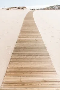Road made up of wood planks